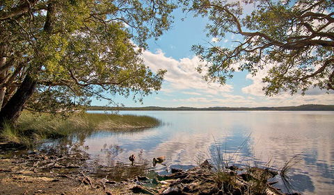 Johnsons Beach Campground - Accommodation Sunshine Coast 1