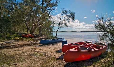 Johnsons Beach Campground - Accommodation Sunshine Coast 2