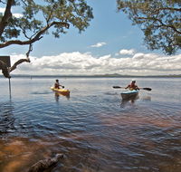 Mungo Brush campground - Accommodation Sunshine Coast