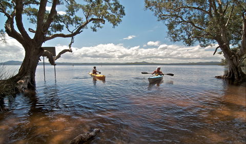 Mungo Brush Campground - Accommodation Sunshine Coast 0