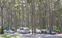 Mystery Bay Camping Area - Accommodation Sunshine Coast 0