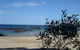 Mystery Bay Camping Area - thumb 4