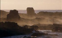 Mystery Bay Camping Area - Accommodation Sunshine Coast 3