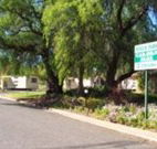 Spicer Park Caravan Park - Accommodation Sunshine Coast
