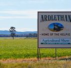 The Ardlethan Kelpie Caravan Park - Accommodation Sunshine Coast