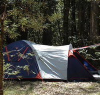 Thungutti campground - Accommodation Sunshine Coast