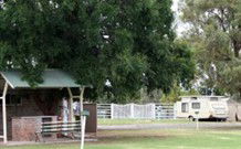 Warialda Caravan Park - Accommodation Sunshine Coast 0
