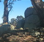 Warreen Farmstay Rural Accommodation - Accommodation Sunshine Coast