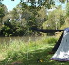 Williams River Holiday Park - Accommodation Sunshine Coast