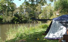 Williams River Holiday Park - Accommodation Sunshine Coast 0