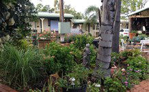 Oasis Motel - Accommodation Sunshine Coast 1