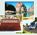 Red Gum Tourist Park - Accommodation Sunshine Coast