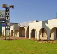 Citrus Motel - Accommodation Sunshine Coast