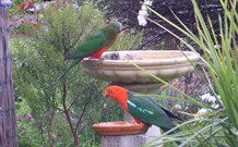 Valley View Motel Murrurundi - Murrurundi - Accommodation Sunshine Coast 4