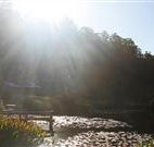 Blair Athol Estate - Accommodation Sunshine Coast