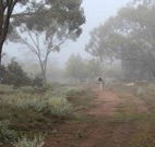 Heritage Park Bathurst - Accommodation Sunshine Coast