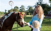 Mogendoura Farm - Accommodation Sunshine Coast 7