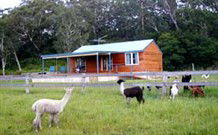 Moorallie Cottage Farm Stay - Accommodation Sunshine Coast 0