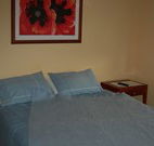 Busy Buzz - Accommodation Sunshine Coast
