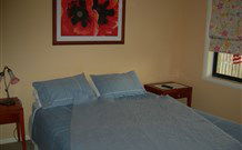Busy Buzz - Accommodation Sunshine Coast 0