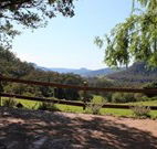 Cedar Grove - - Accommodation Sunshine Coast