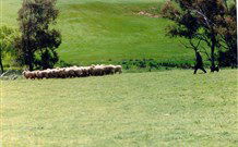 Gooromon Park Cottages - Accommodation Sunshine Coast 0