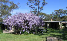 Studio Cottages - Accommodation Sunshine Coast 0