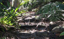 Studio Cottages - Accommodation Sunshine Coast 5