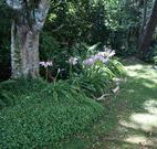 Tallawalla Retreat - Accommodation Sunshine Coast