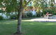 BIG4 Koala Shores Holiday Park - Lemon - thumb 4