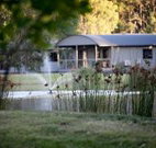 Mt Clunie Cabins - Accommodation Sunshine Coast