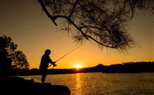 Oakbourne Cottage, Gingers Creek - Accommodation Sunshine Coast 5