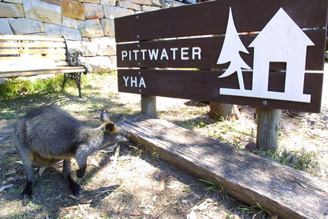 Sydney - Pittwater YHA - Accommodation Sunshine Coast 9