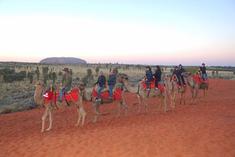 Ayers Rock - Outback Pioneer Lodge - Accommodation Sunshine Coast 1