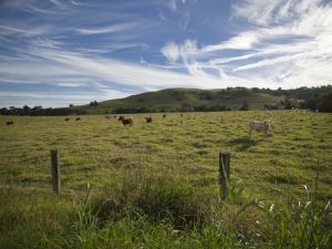 Goolmangar NSW Accommodation Sunshine Coast