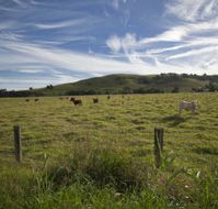 Annas Retreat - Accommodation Sunshine Coast