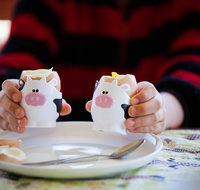 Cosy Cow Farmstay Bed and Breakfast - Accommodation Sunshine Coast