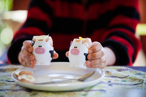 Cosy Cow Farmstay Bed And Breakfast - Accommodation Sunshine Coast 0