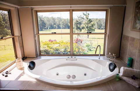 Cosy Cow Farmstay Bed And Breakfast - Accommodation Sunshine Coast 1