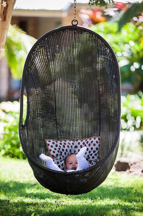 Cosy Cow Farmstay Bed And Breakfast - Accommodation Sunshine Coast 5