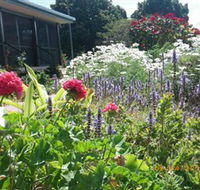 Eastwood Farm - Accommodation Sunshine Coast