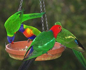 Bellthorpe Stays - Nature's Retreat - Accommodation Sunshine Coast 3