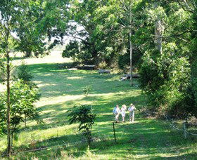 Bellthorpe Stays - Nature's Retreat - Accommodation Sunshine Coast 2