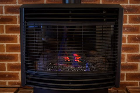 Federation Gardens And Possums Hideaway - Accommodation Sunshine Coast 6