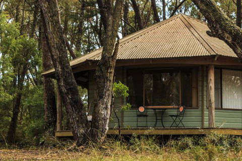 Federation Gardens And Possums Hideaway - Accommodation Sunshine Coast 7