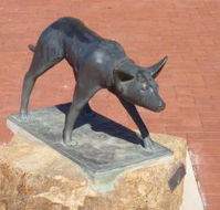 The Ardlethan Kelpie Caravan Park - Accommodation Sunshine Coast