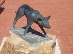 The Ardlethan Kelpie Caravan Park - Accommodation Sunshine Coast 0