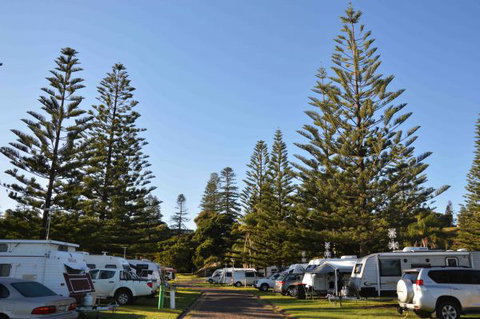 NRMA Port Macquarie Breakwall Holiday Park - Accommodation Sunshine Coast 5