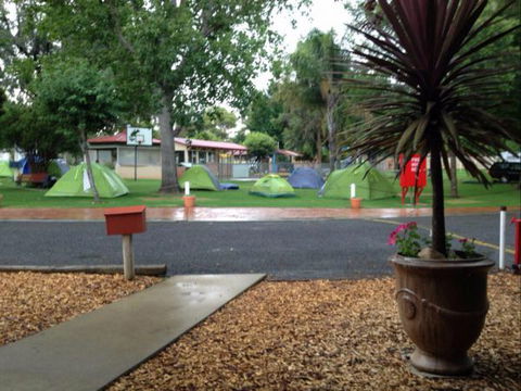 Young Caravan Tourist Park - Accommodation Sunshine Coast 1