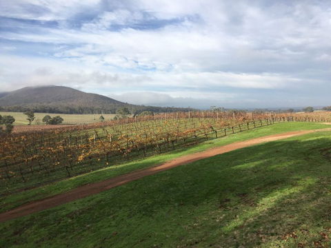 Sanguine Estate - Accommodation Sunshine Coast 29